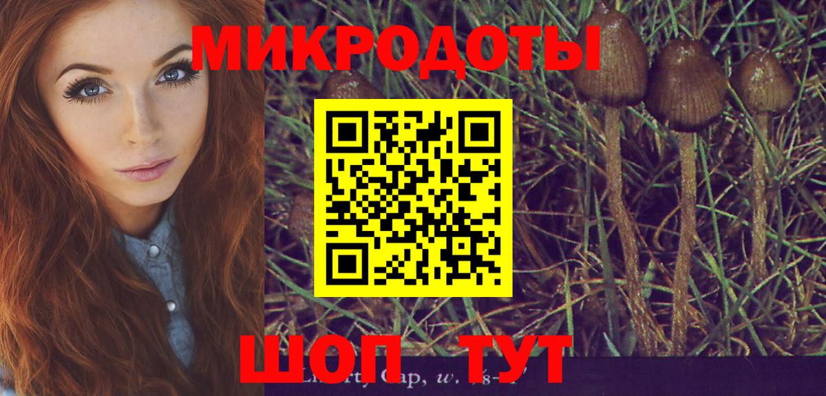 Галлюциногенные грибы Magic Shrooms Новоалександровск