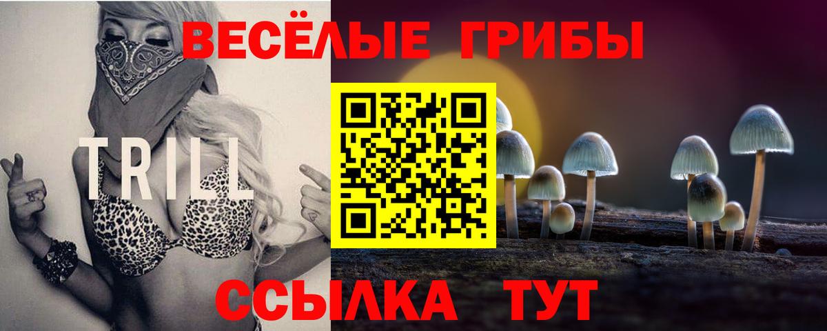 Новоалександровск  Псилоцибиновые грибы мухоморы  Вход с VPN 