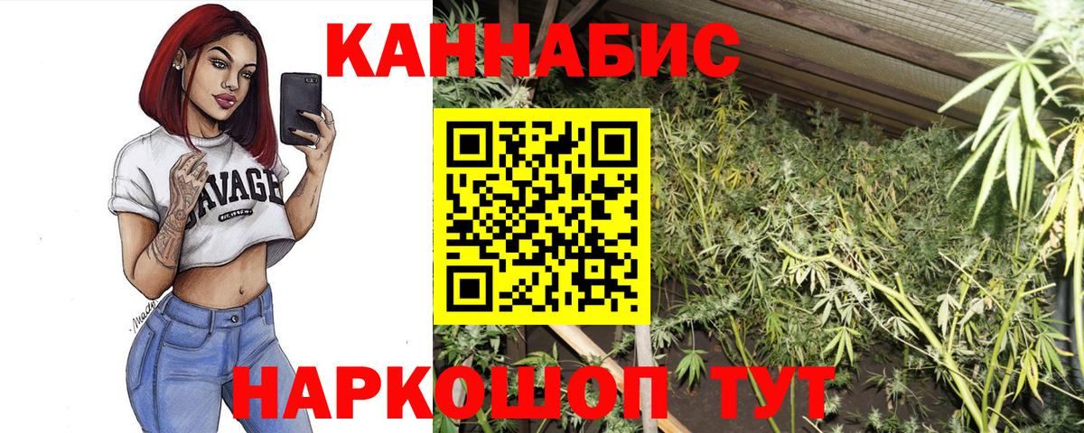 Шишки марихуана планчик  Бошки марихуана планчик  Новоалександровск  Вход с VPN 